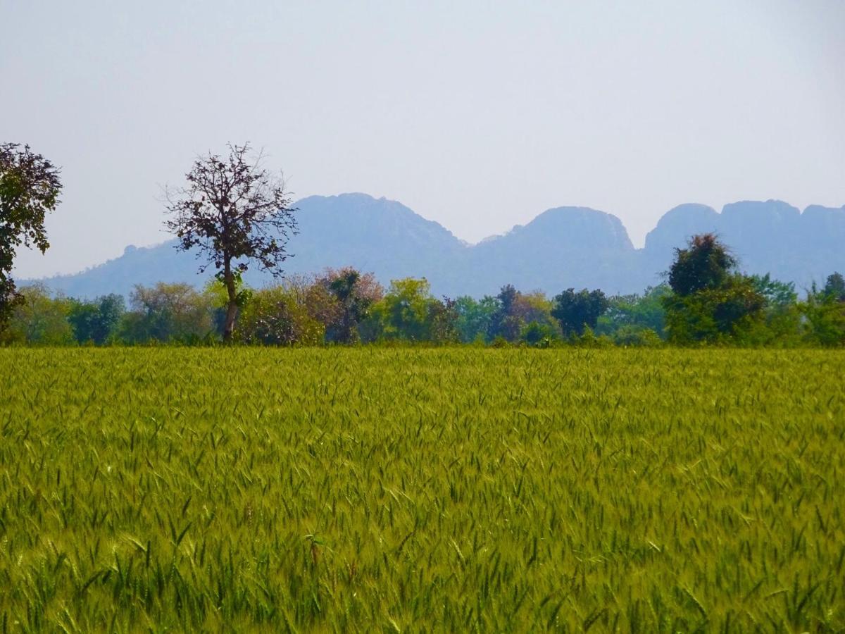 Maji Homestay Κχατζουράχο Εξωτερικό φωτογραφία